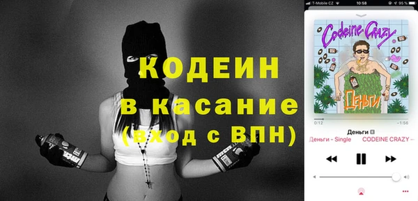 прущие грибы Алзамай