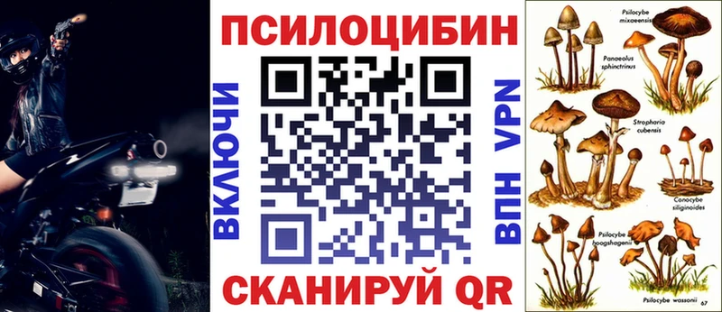 Галлюциногенные грибы Psilocybe  omg как войти  Щёлково 